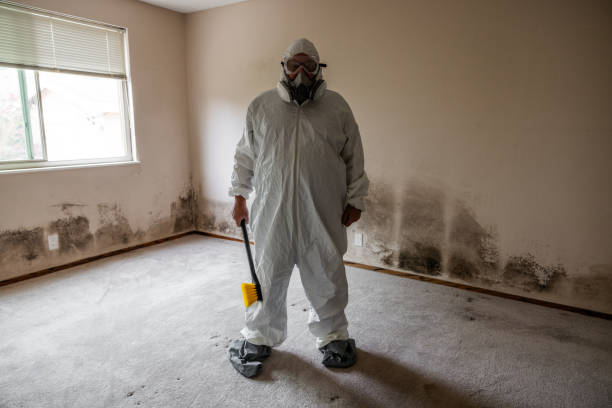 Best Crawl Space Mold Remediation  in Ocean City, FL